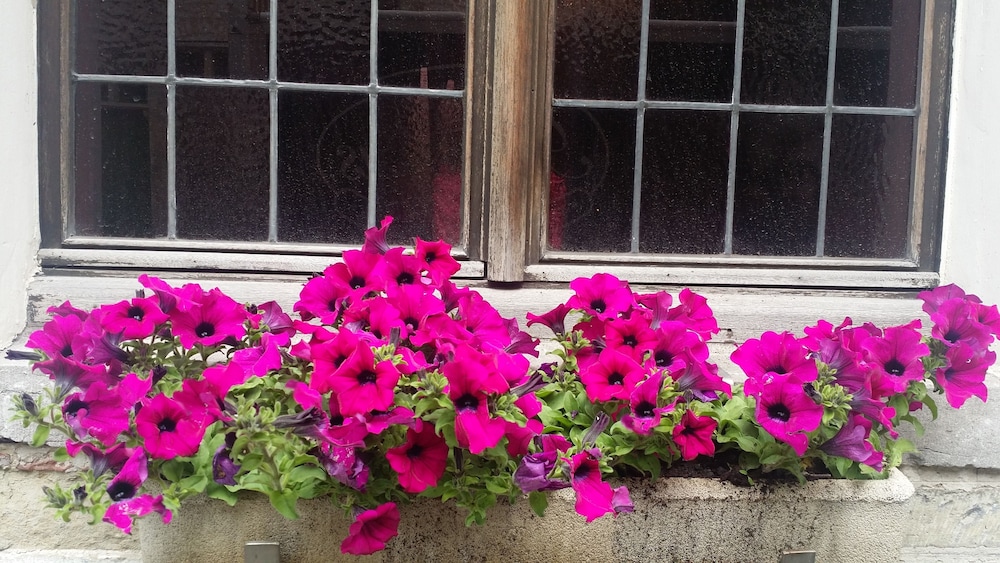 Cour St Georges — photo 4